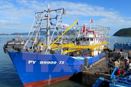 Chính phủ ban hành các nghị định mới