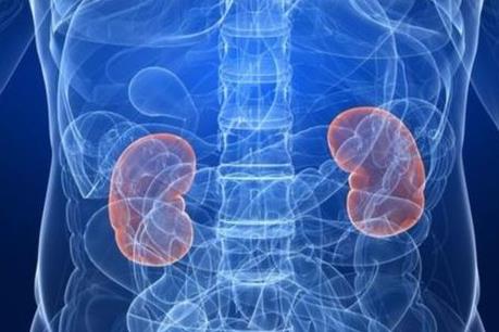 Trung Quốc phạt tù 16 người tiến hành cấy ghép thận chui