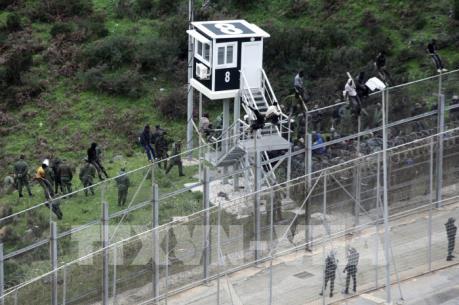 Vấn đề người di cư: Căng thẳng tại hàng rào biên giới Maroc-Tây Ban Nha