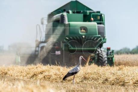 Điểm lại thị trường nông sản Mỹ tuần qua