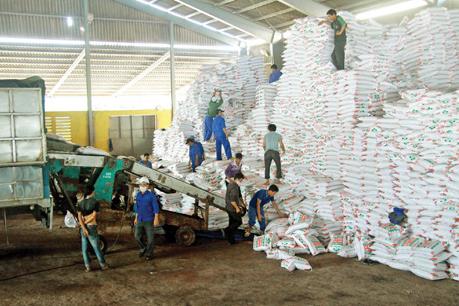 DPM: Điều chỉnh kế hoạch lợi nhuận sau thuế hợp nhất năm 2016 xuống 1.140 tỷ đồng