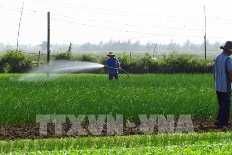 Cơ hội nào cho xuất khẩu rau quả của Việt Nam?