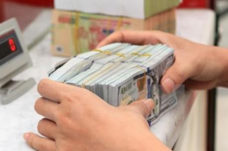 Tỷ giá USD hôm nay 6/1 duy trì đà giảm mạnh