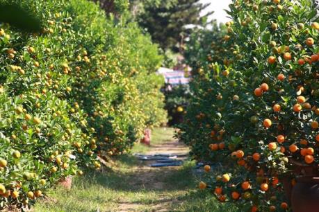 Dự báo thời tiết 2 ngày cuối tuần: Bắc bộ có mưa vài nơi, ngày hửng nắng
