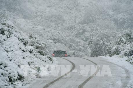 Bão tuyết hoành hành nước Mỹ