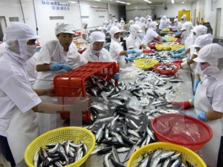 ATA: Quyết định hủy niêm yết cổ phiếu 