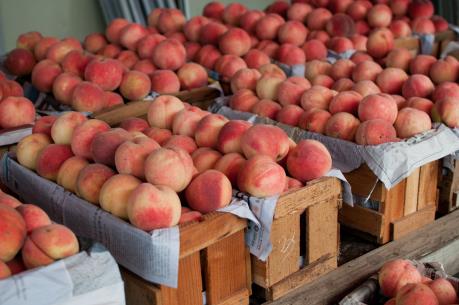 Hơn 5000 tấn đào lai mận của Australia lần đầu xuất sang Trung Quốc