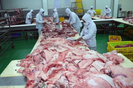 Cảnh báo nguồn cung thịt lợn đang vượt cầu