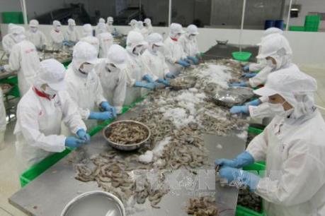 Xây dựng cụm chế biến hải sản tập trung Cát Khánh