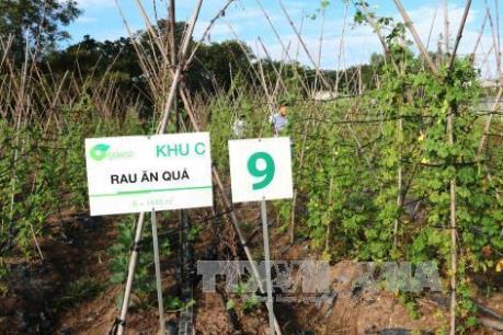 Gỡ khó cho kinh tế trang trại