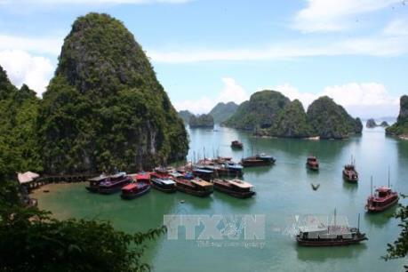 Quảng Ninh xem xét dừng hoạt động tàu du lịch nghỉ đêm vỏ gỗ "hoán cải"