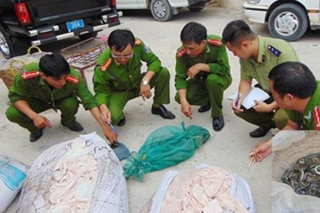 Hưng Yên bắt giữ hơn 500 kg bì lợn ôi thiu chuẩn bị đưa đi tiêu thụ