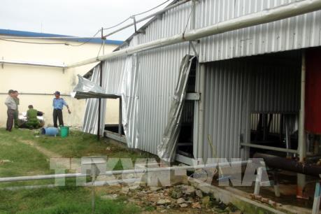 Phó Thủ tướng Vũ Đức Đam: Khẩn trương điều tra vụ tai nạn nghiêm trọng ở Phú Yên