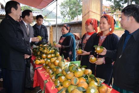 Cam Lục Yên đã có nhãn hiệu tập thể