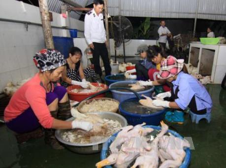 Đề xuất cấm bán gia cầm sống chưa giết mổ tại chợ