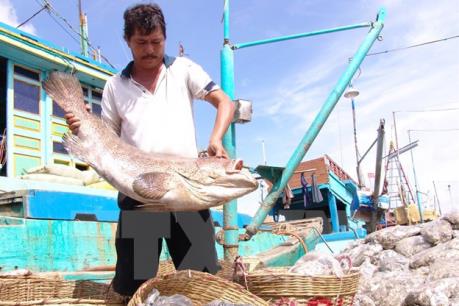 Mỹ siết chặt thủy sản nhập khẩu