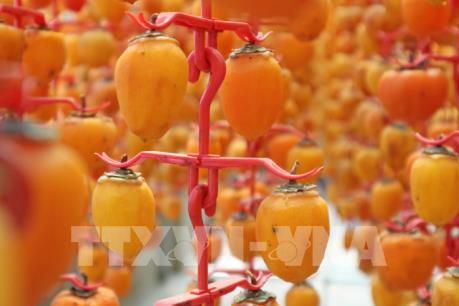 Hồng treo Đà Lạt hút hàng dịp Tết
