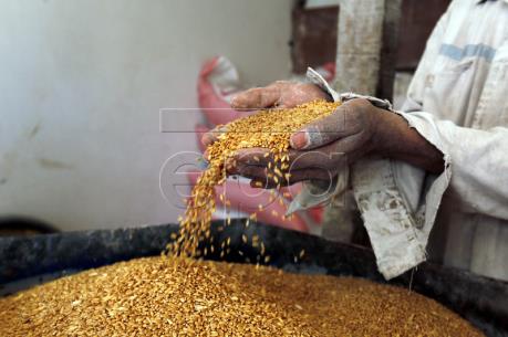 Điểm lại thị trường nông sản Mỹ tuần qua