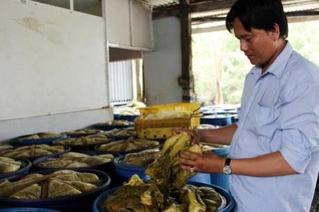 Làng nghề dưa cải muối chua tất bật sản xuất phục vụ Tết