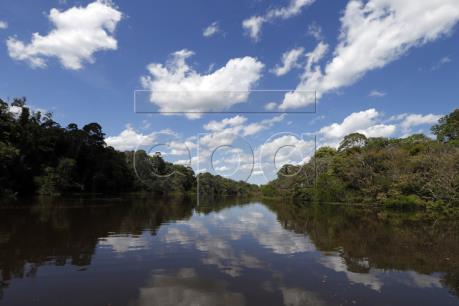 Phát triển hạ tầng - Thủ phạm chính phá rừng Amazon