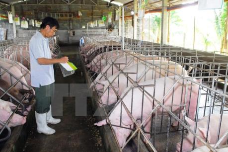 Bổ sung chất Cysteamine vào danh mục chất cấm trong chăn nuôi