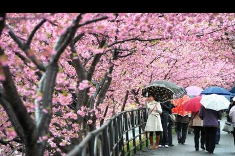 Khai trương  Văn phòng đại diện cơ quan xúc tiến du lịch Nhật Bản tại Việt Nam