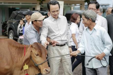 FLC trao tặng bê giống và sổ tiết kiệm cho người dân Bình Định