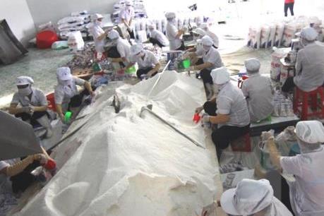 Ban hành Nghị định về quản lý sản xuất, kinh doanh muối