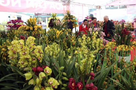 Khai mạc Hội chợ nông, lâm thủy sản Xuân Đinh Dậu