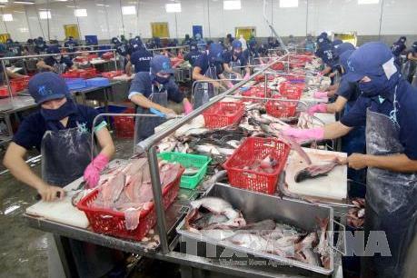 Tháng 1/2017, xuất khẩu nông lâm thủy sản ước đạt 2,54 tỷ USD