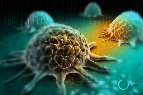 Phát hiện mới về tác động của protein POLD3 trong điều trị ung thư