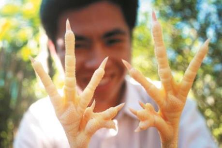 Đổ xô "săn lùng" gà 6 cựa Mẫu Sơn đón Tết Đinh Dậu