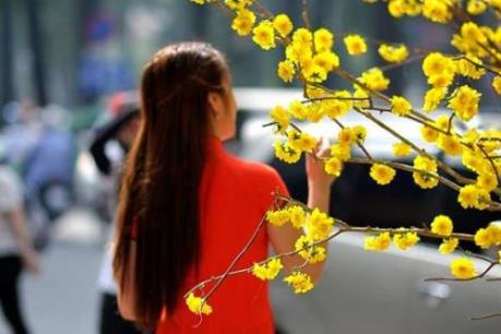 Dự báo thời tiết hôm nay 6/2: Bắc Bộ, Bắc Trung Bộ trưa chiều trời nắng