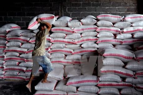 Vận chuyển hàng ngũ cốc đóng nguyên container từ Kazakhstan đến Việt Nam