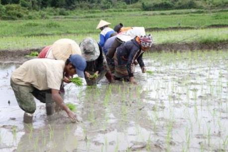 Đẩy nhanh tiến độ lấy nước đợt 2 cho vụ Đông Xuân