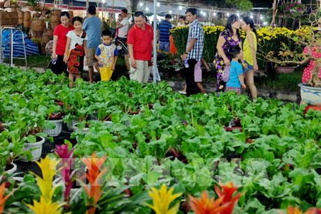 Tp. Hồ Chí Minh khai mạc Hội hoa xuân Đinh Dậu 2017