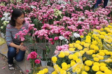 Nhộn nhịp chợ hoa xuân tại Cà Mau