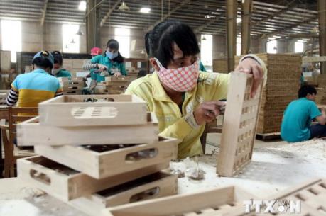 Kim ngạch xuất khẩu gỗ đạt mức kỷ lục trong năm 2016