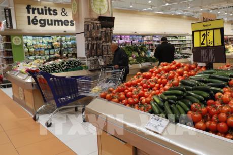 Kinh tế Eurozone: Vượt xa kỳ vọng