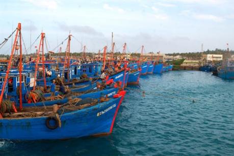 Điều chỉnh quy hoạch Khu bến cảng Cà Ná, Ninh Thuận