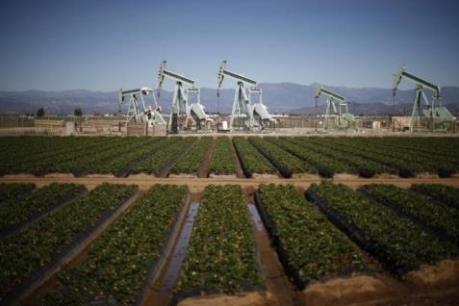 Giá dầu đảo chiều sau ba tuần tăng liên tiếp