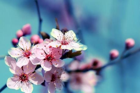 Những phong tục đón Tết cổ truyền