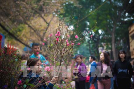 Phố phường Hà Nội những ngày cuối năm Bính Thân