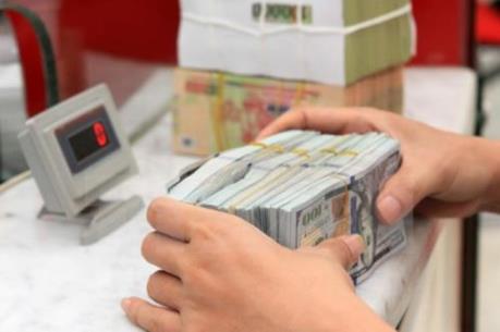 Tỷ giá trung tâm: Một năm nhìn lại