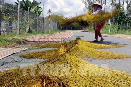 Thăm làng nghề chiếu Định Yên: Di sản văn hóa phi vật thể Quốc gia