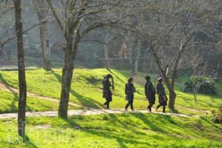 Dự báo thời tiết mùng 4 Tết: Trời đẹp khắp ba miền