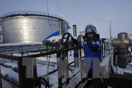 Giá dầu châu Á đảo chiều đi lên