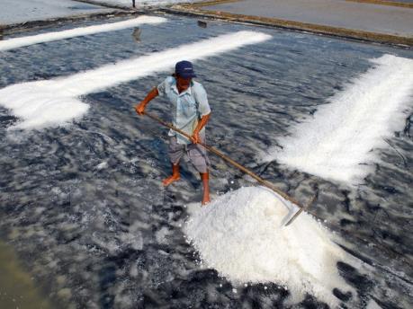 Indonesia cho phép nhập khẩu 1,4 triệu tấn muối năm 2017