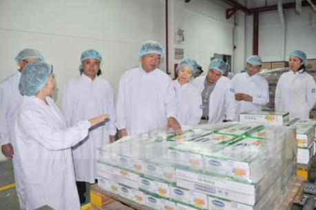 Vinamilk phối hợp với TPHCM xây dựng mô hình sản xuất lớn trong chăn nuôi bò sữa