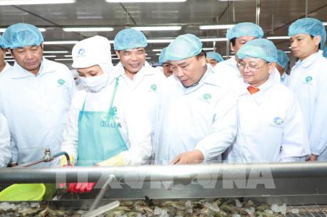 Thủ tướng thăm mô hình chế biến tôm tại Tập đoàn Thủy sản Minh Phú
